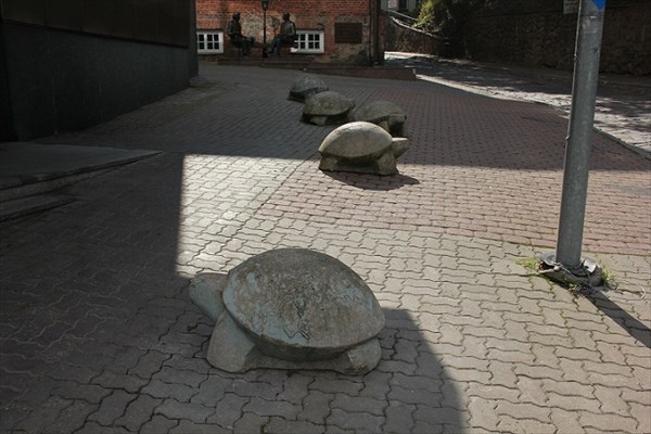 211-Каменные черепахи